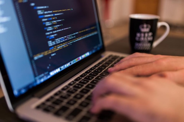 WordPress vs Shopify vs a custom-built website: which should you choose?